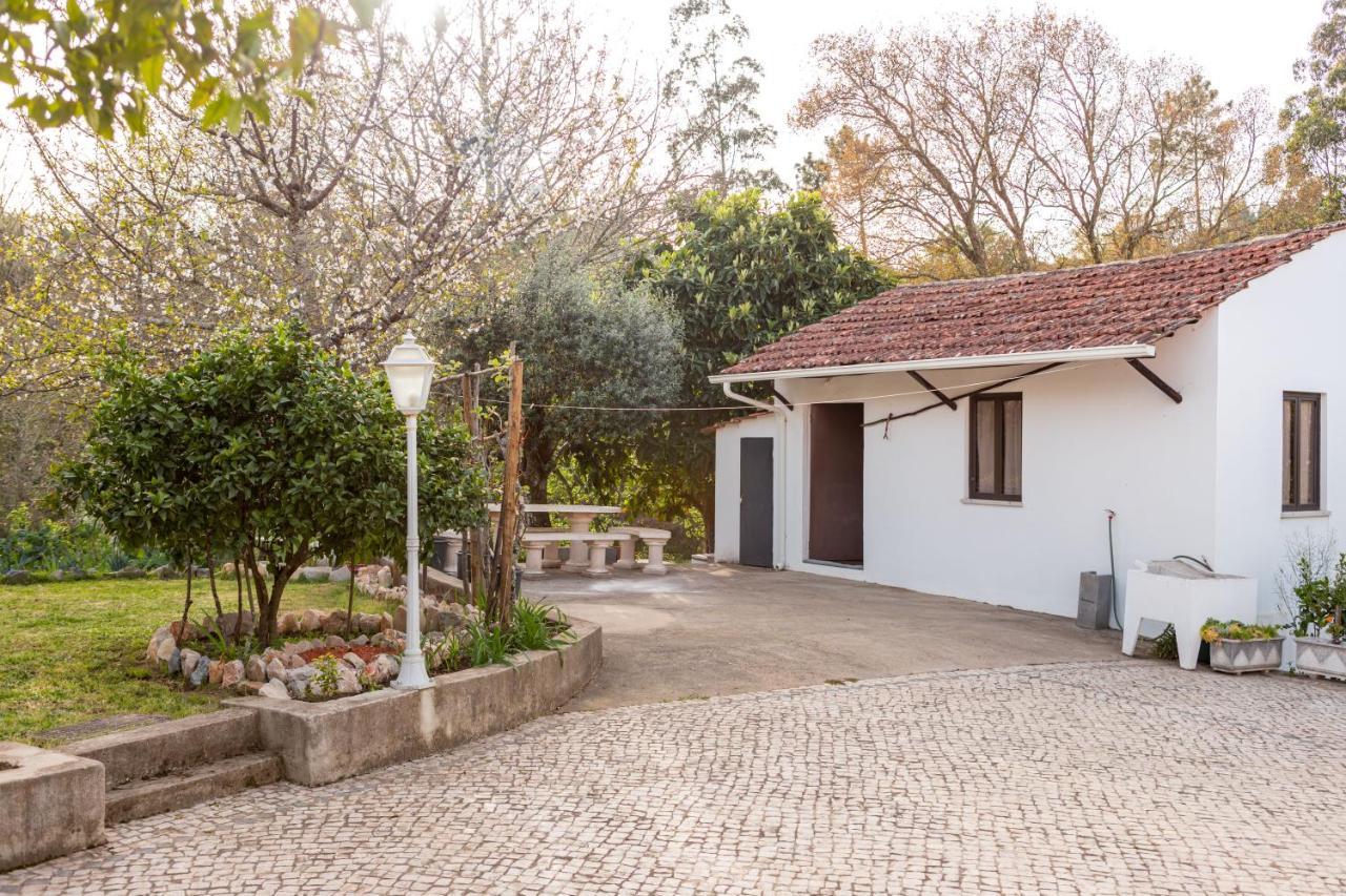 Quintinha De Casal Villa Macas de Dona Maria Exteriör bild